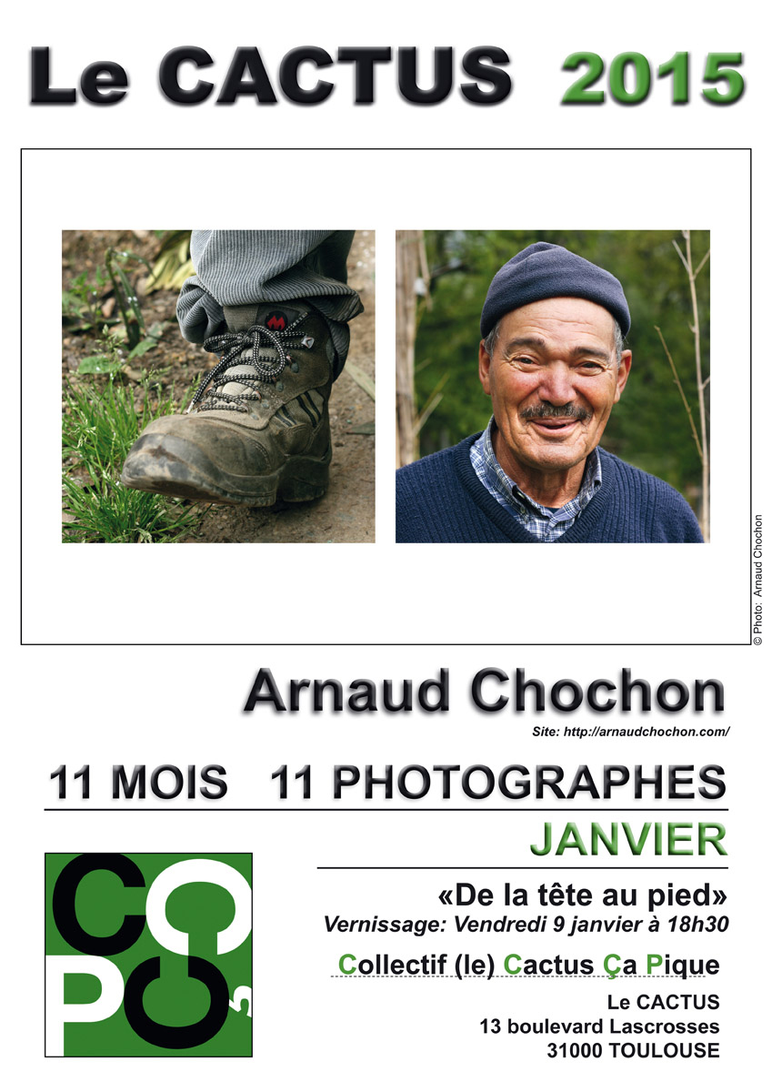 affiche 2015 janvier sur 2bis.indd